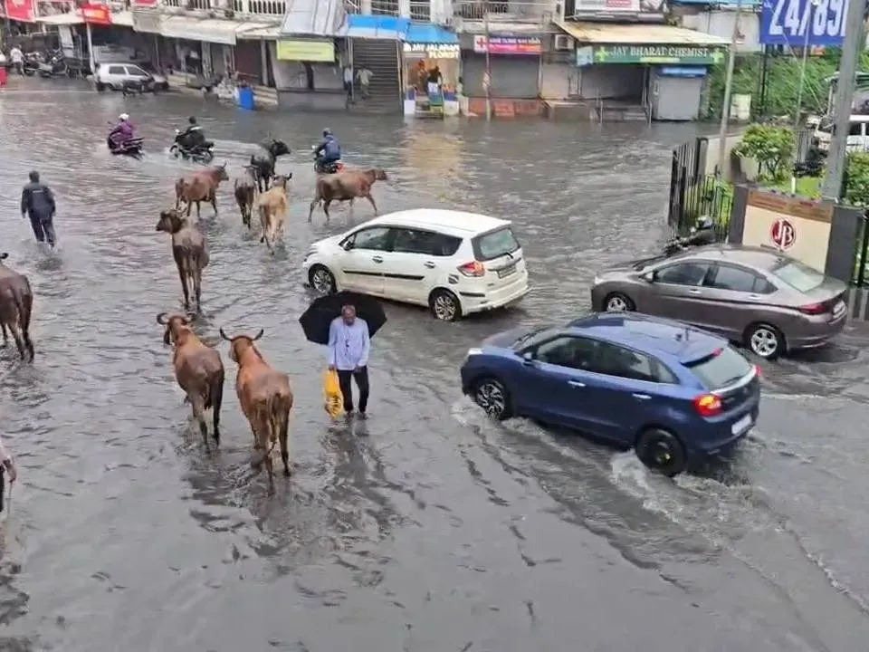 ગુજરાતમાં અનેક લોકો ખાનગી હોસ્પિટલોમાં મોંઘી સારવાર લેવા મજબૂર બન્યા છે, સરકારી આરોગ્ય સેવાઓની મર્યાદા અને તાત્કાલિક સારવારની જરૂરિયાતને કારણે દર્દીઓ પર આર્થિક બોજ વધી રહ્યો છે, જે આરોગ્ય ક્ષેત્રે ગંભીર ચિંતાનો વિષય બની રહ્યો છે.