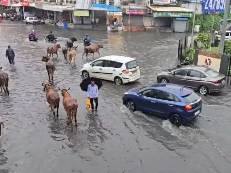 ગુજરાતમાં અનેક લોકો ખાનગી હોસ્પિટલોમાં મોંઘી સારવાર લેવા મજબૂર બન્યા છે, સરકારી આરોગ્ય સેવાઓની મર્યાદા અને તાત્કાલિક સારવારની જરૂરિયાતને કારણે દર્દીઓ પર આર્થિક બોજ વધી રહ્યો છે, જે આરોગ્ય ક્ષેત્રે ગંભીર ચિંતાનો વિષય બની રહ્યો છે.