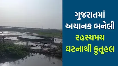 ગુજરાતમાં એક કૂવામાં અચાનક પાણી હિલોળે ચડતાં રહસ્યમય ઘટનાએ સ્થાનિકોમાં ભારે કુતૂહલ જગાવ્યું છે, ઘટનાનું કારણ જાણવા લોકોની ભીડ ઉમટી રહી છે, જ્યારે તંત્ર પણ તપાસમાં જોડાયું છે.